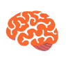 CNS